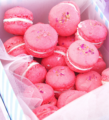 Rose Macarons Rose Macarons