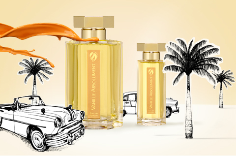 Vanille Absolument Vanille Absolument