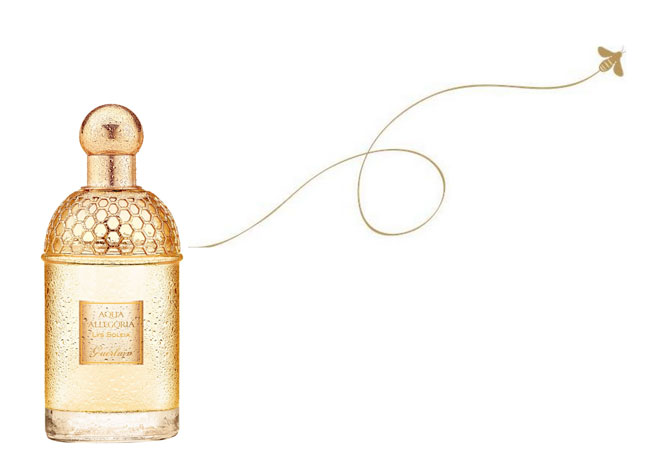 Lys Soleia - An olfactory snapshot of summer air