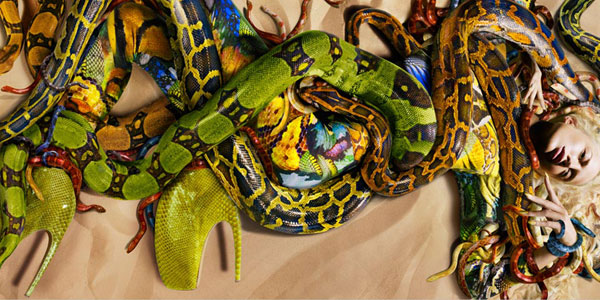 Snake Skin by Alexander McQueen