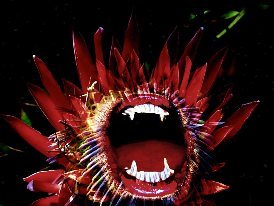 Carnivorous Flower by M.Sh on pxleyes.com