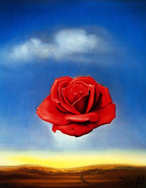 Perfume Pic of the Week: The Meditative Rose by Salvador Dalí