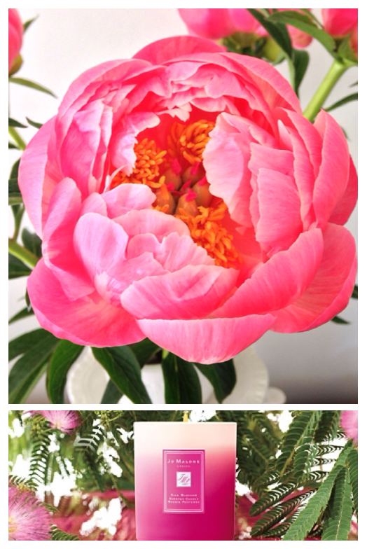 Perfume Pic of the Week No.18: Pretty in Pink