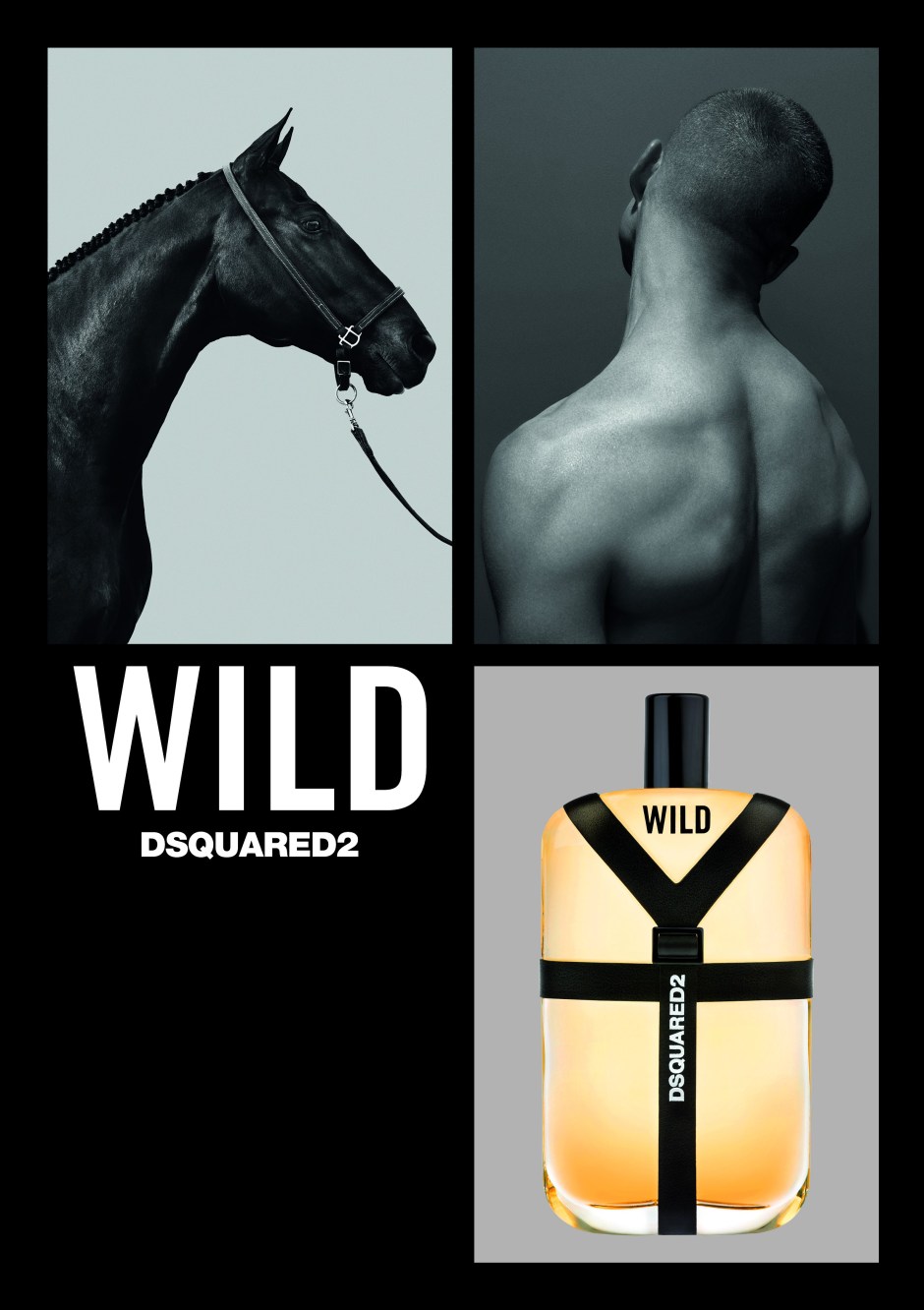 WILD [Photo: Steven Klein]