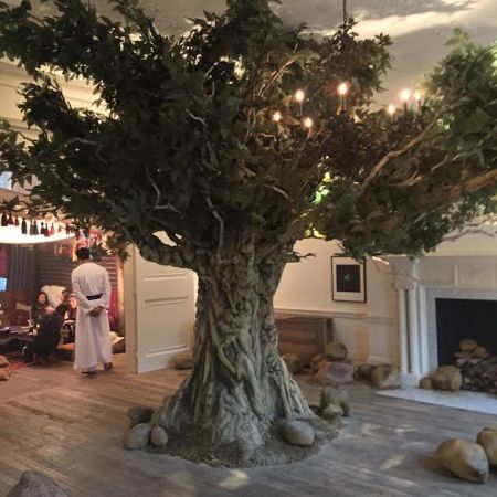 A Boswelia Tree at Jo Malone's Incense & Cedrat Launch