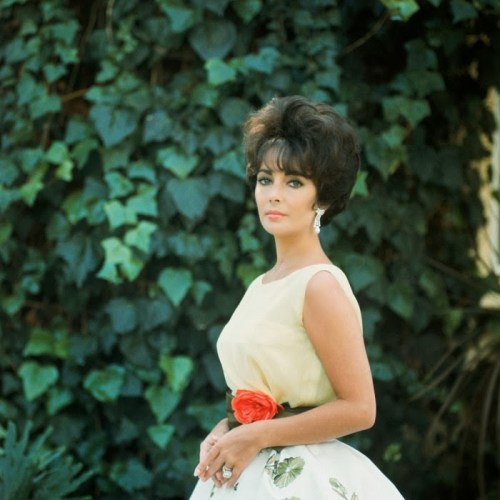 Liz Taylor in Dior (1960)