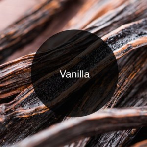 'The Candy Perfume Boy's Guide to Vanilla' - Shortlisted for the Jasmine Bloggers Award