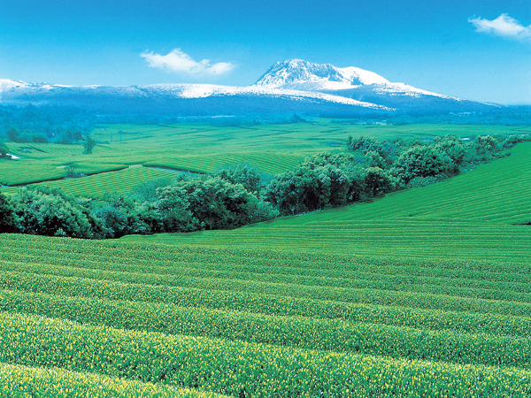 "The Volcanic Island of Jeju"