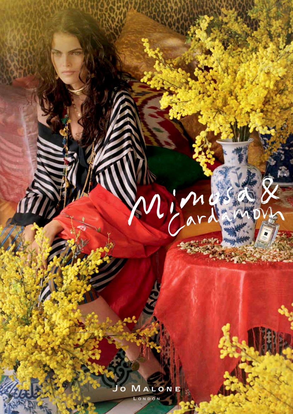 Step Into New Bohemia