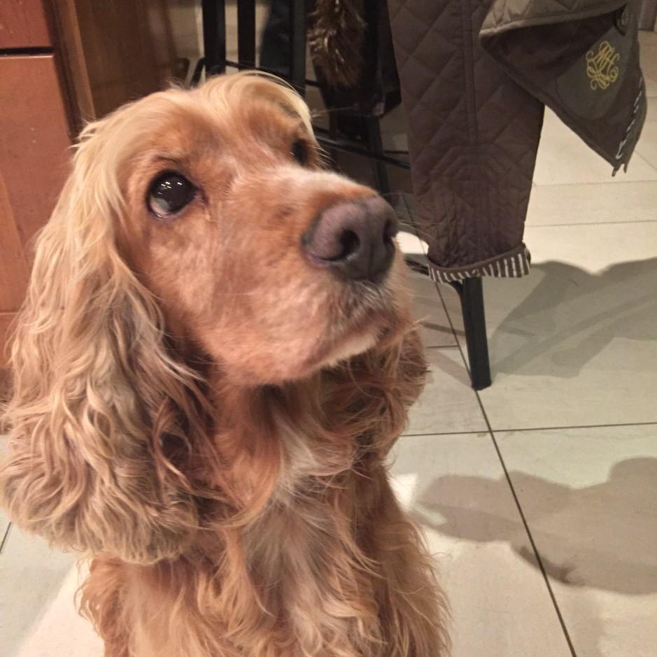 The Gorgeous Sally Muff Cake