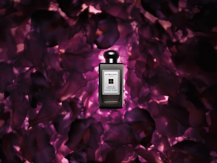 1450013009_12370996_10153129259747307_5470397439432947815_o