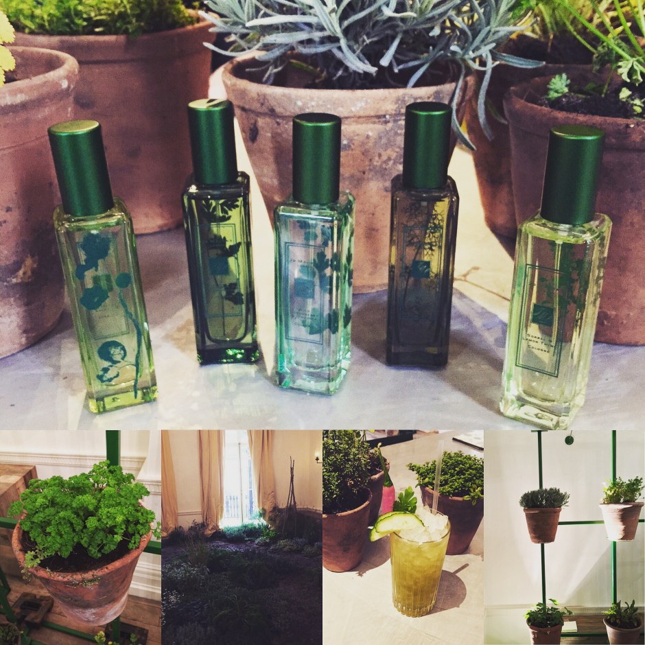 The Herb Garden Collection