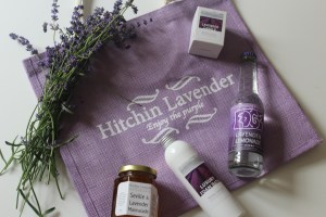 The Spoils of the Day