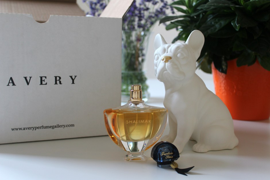 Avery Gives Shalimar a Sniff