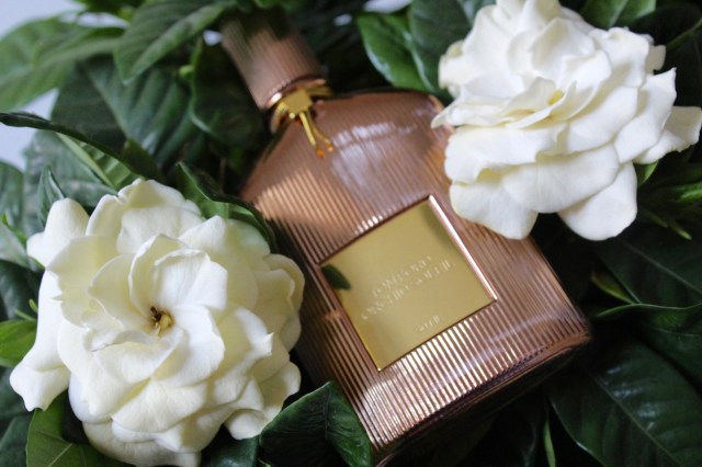 Sun Worship – TOM FORD Orchid Soleil Perfume Review – The Candy 