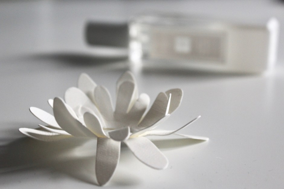 White Flowers on White Woods