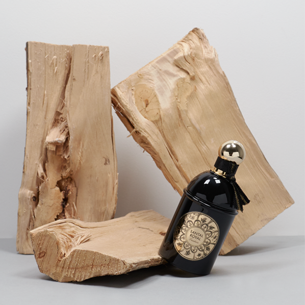 74662BD9-A518-4E9F-922C-AC4555C9DC4E