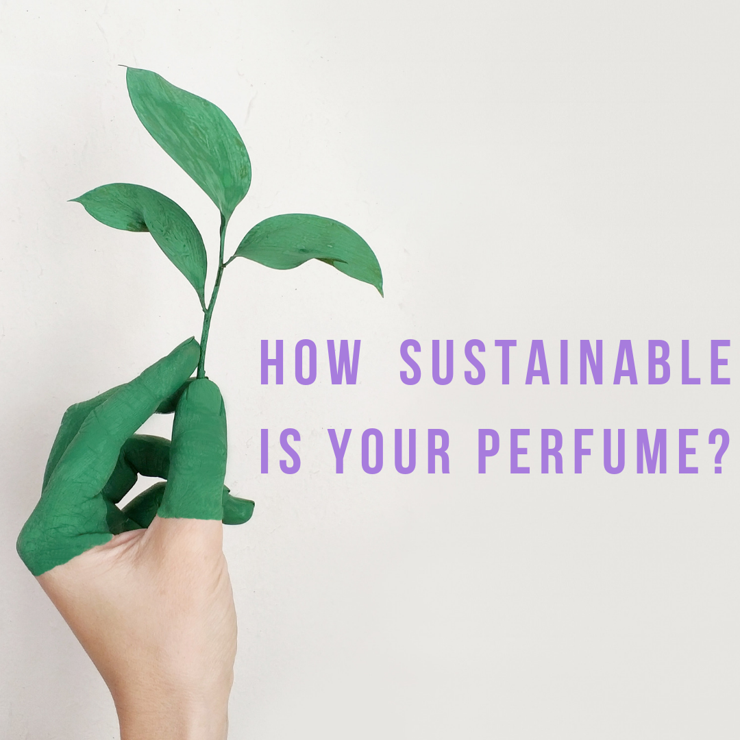 Copy of Full Size HQ